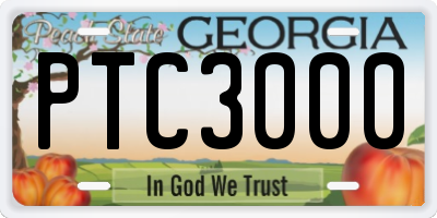 GA license plate PTC3000