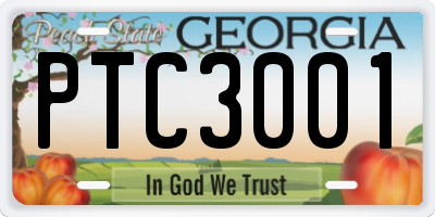 GA license plate PTC3001