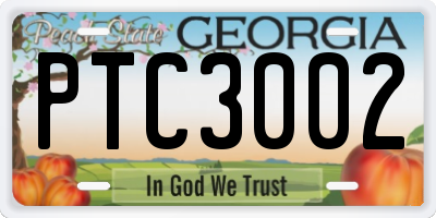GA license plate PTC3002