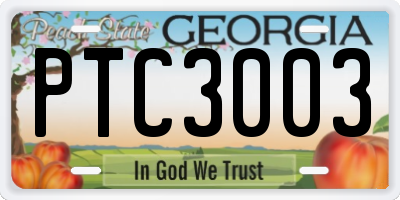 GA license plate PTC3003