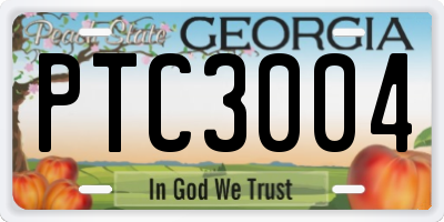 GA license plate PTC3004
