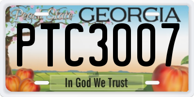 GA license plate PTC3007