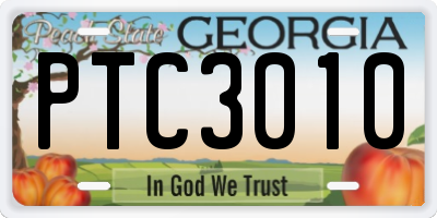 GA license plate PTC3010