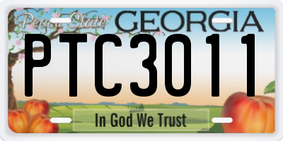 GA license plate PTC3011