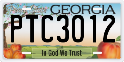 GA license plate PTC3012