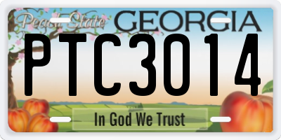 GA license plate PTC3014