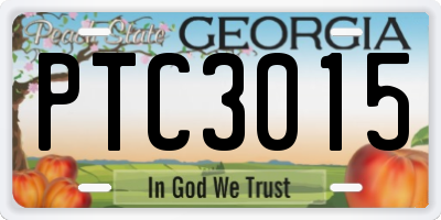GA license plate PTC3015