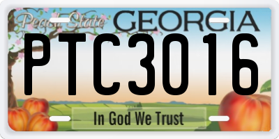 GA license plate PTC3016
