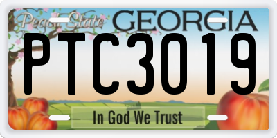 GA license plate PTC3019