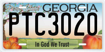 GA license plate PTC3020