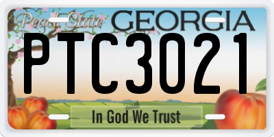 GA license plate PTC3021
