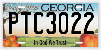 GA license plate PTC3022