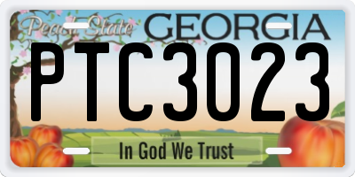 GA license plate PTC3023