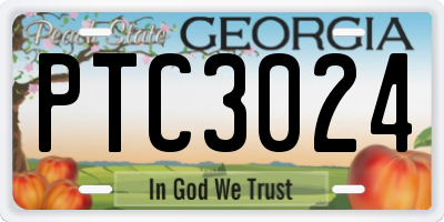 GA license plate PTC3024