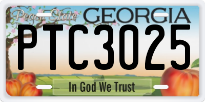 GA license plate PTC3025
