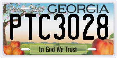 GA license plate PTC3028