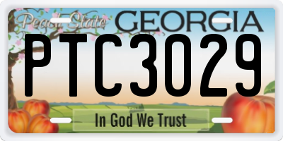 GA license plate PTC3029