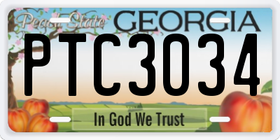 GA license plate PTC3034