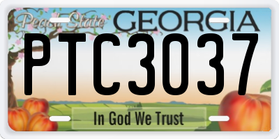 GA license plate PTC3037