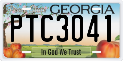GA license plate PTC3041