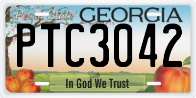 GA license plate PTC3042