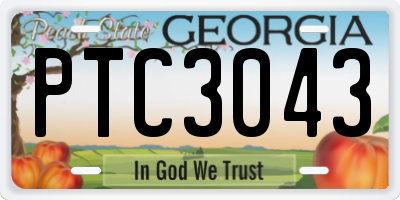 GA license plate PTC3043