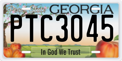 GA license plate PTC3045