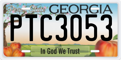 GA license plate PTC3053