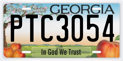 GA license plate PTC3054