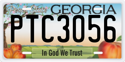 GA license plate PTC3056