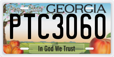 GA license plate PTC3060