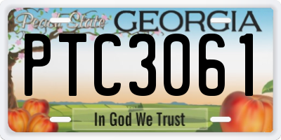 GA license plate PTC3061