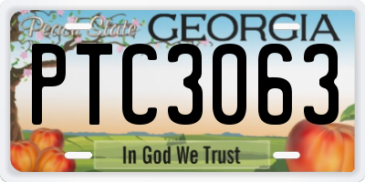 GA license plate PTC3063