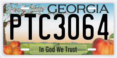 GA license plate PTC3064