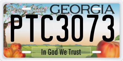 GA license plate PTC3073