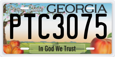 GA license plate PTC3075
