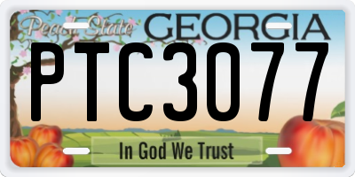 GA license plate PTC3077