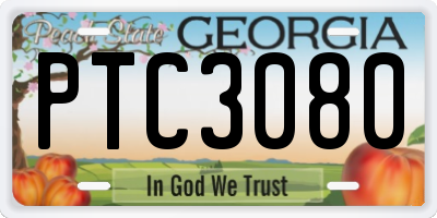 GA license plate PTC3080