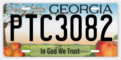 GA license plate PTC3082