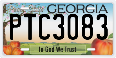GA license plate PTC3083