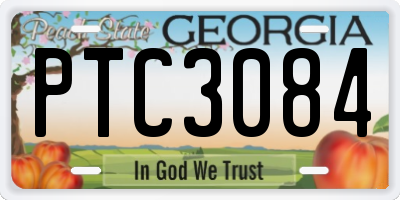 GA license plate PTC3084