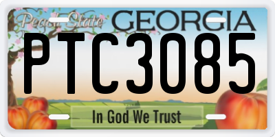 GA license plate PTC3085
