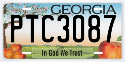 GA license plate PTC3087