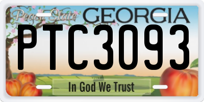 GA license plate PTC3093