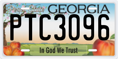 GA license plate PTC3096