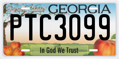 GA license plate PTC3099