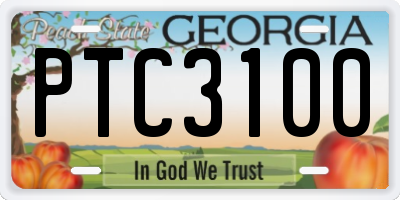 GA license plate PTC3100