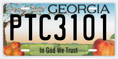 GA license plate PTC3101