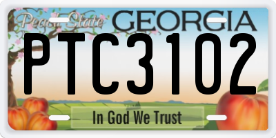 GA license plate PTC3102