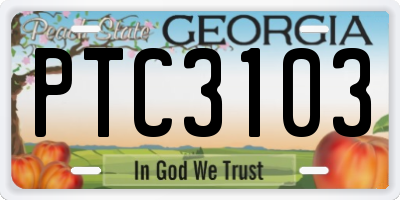 GA license plate PTC3103